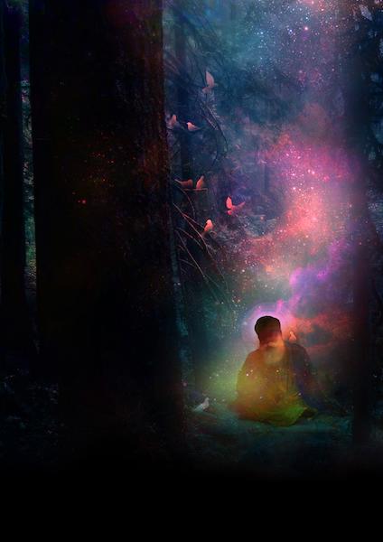 Artwork depicting Guru Nanak seated in a forest, with birds among the trees and luminous pink, blue, and green light